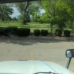 Meet your Posher, Lawrence